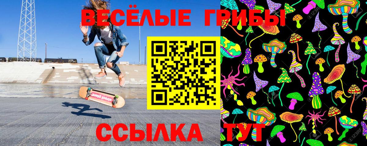 Галлюциногенные грибы мухоморы Электросталь
