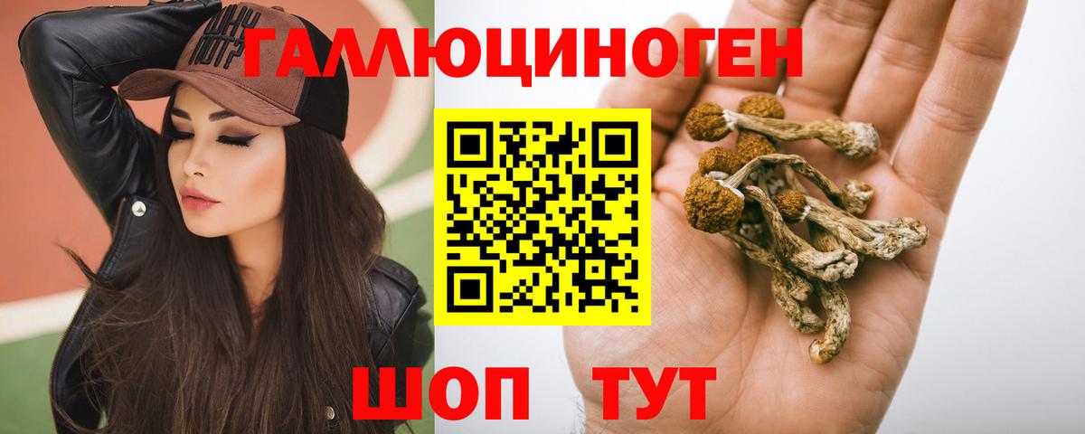 Электросталь  Галлюциногенные грибы мицелий  Вход с VPN 